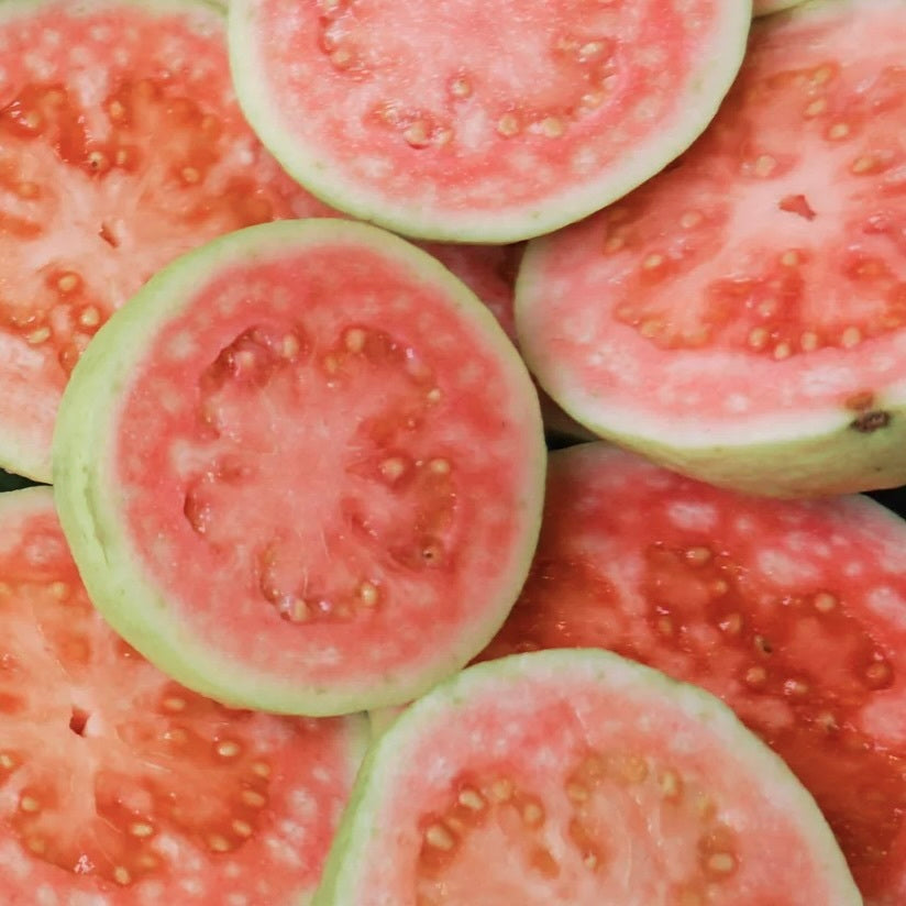 Guava