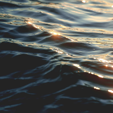 Aquatic